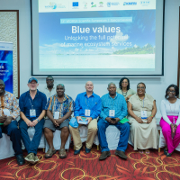 Experts call for adoption of holistic “Blue Values” framework to safeguard Indian Ocean benefits for  people and nature 
